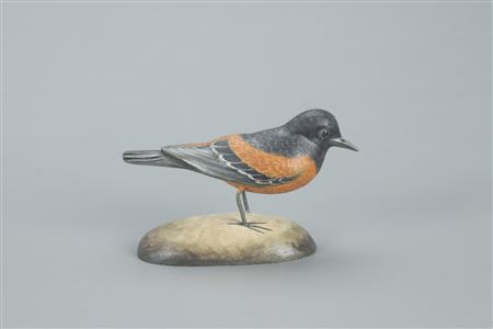 Miniature Orchard Oriole