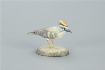 Miniature Golden-Crowned Kinglet