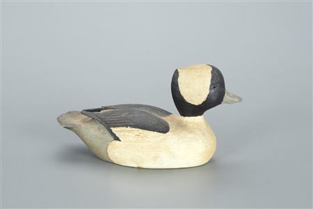 Miniature Bufflehead