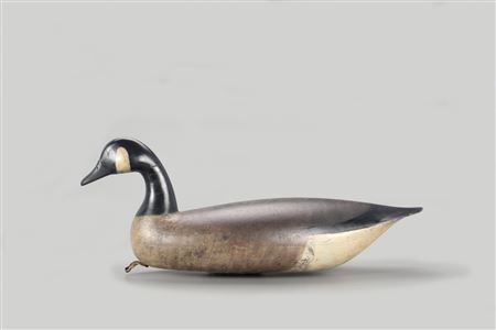 Canada Goose