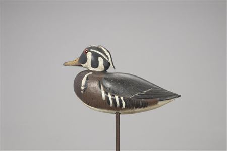 The Hunter Hart Wood Duck