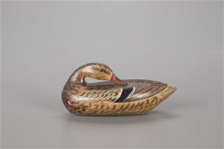 Exceptional Miniature Preening Mallard Hen