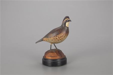 Half-Size Quail
