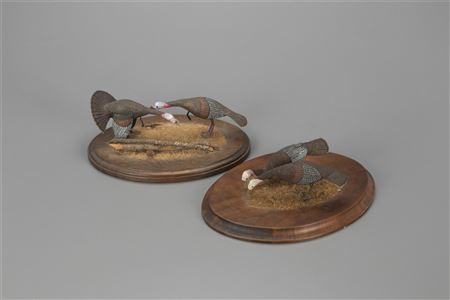 Miniature Turkey Flock on Two Bases