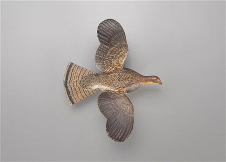 Miniature Flying Grouse