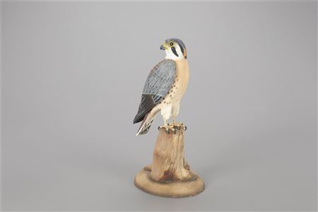 Kestrel or Sparrow Hawk