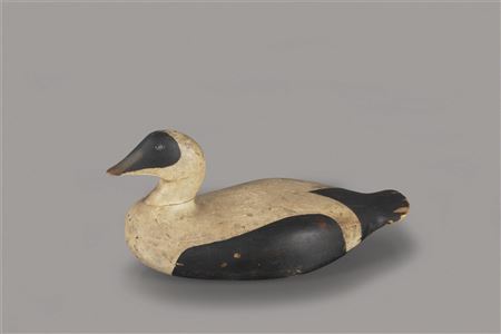Eider Drake by Willie Ross - Auction record, sale price, and art valuation. Compare with similar artists and explore comparable artworks.