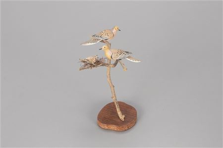 Miniature Dove Family