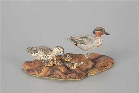 Miniature Green-Winged Teal Family
