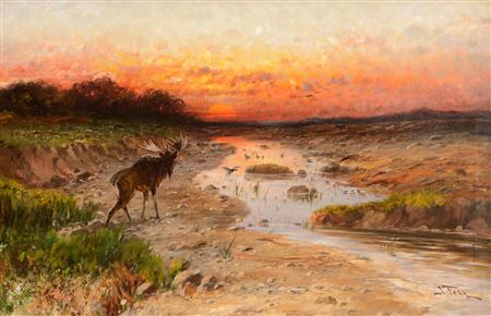 Moose at Sunset