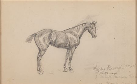 Distance - Dr. Cliff Lindsey's Horse