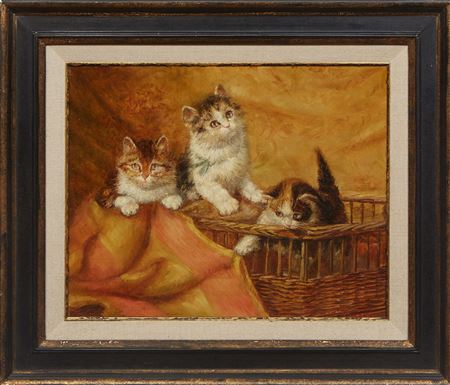 Playful Kittens