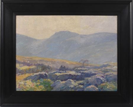 Spring Mountain Landscape