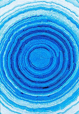 EYE, 2021