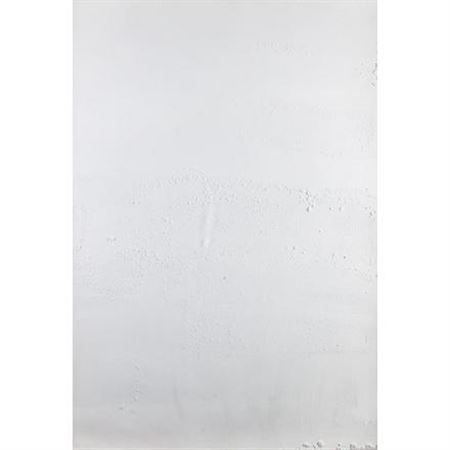 "Ĺšlepe lasy" z cyklu "Polskie lasy" by Joshua Neustein - Auction record, sale price, and art valuation. Compare with similar artists and explore comparable artworks.