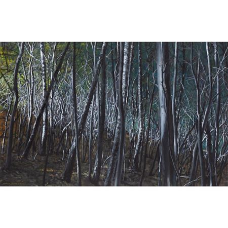 Beeches And Birches