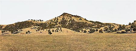 HILLSIDE, ELLERSTON by William Delafield Cook - Auction record, sale price, and art valuation. Compare with similar artists and explore comparable artworks.