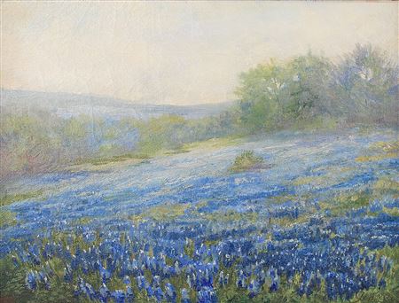 Bluebonnet Landscape