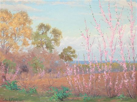 Redbud Trees
