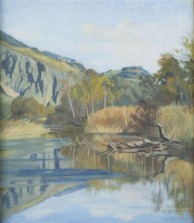 "Saillons, plaine du Rhône"
