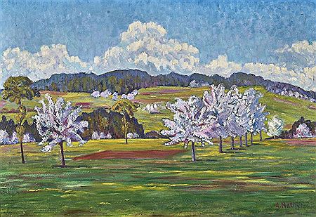 Blossoming fruit trees