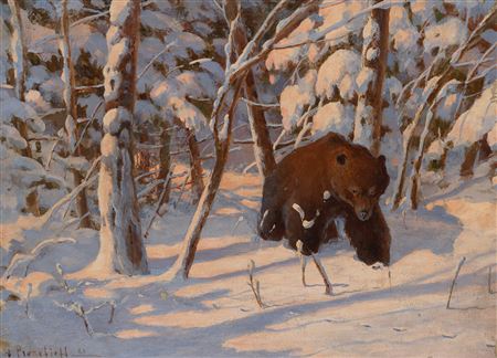 Bear in a Wooded Landscape in Winter