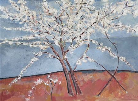 Early Cherry Blossom - Nepal