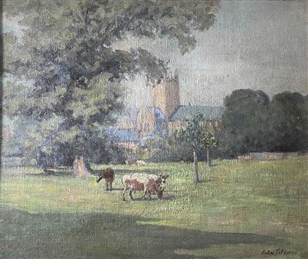 'Cows Before Wells Cathedral'