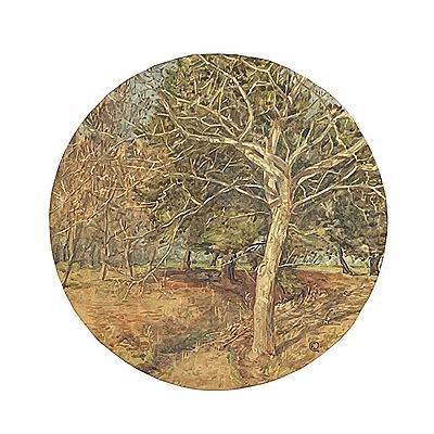 Trees at Karewa, Christchurch, New Zealand