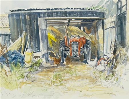 Corner of Yard