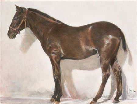 Horse