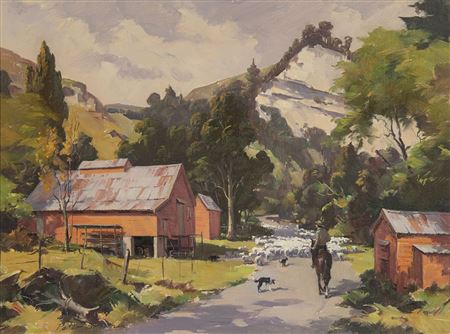 Sheep Droving near Gisborne
