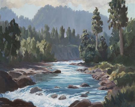 Whakapapa River King Country