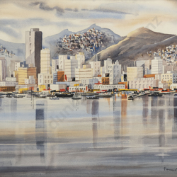 Across Wellington Harbour