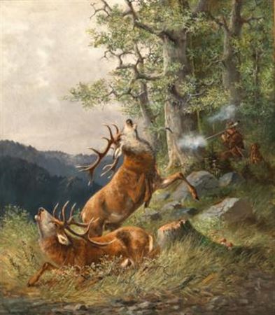Deer Hunting