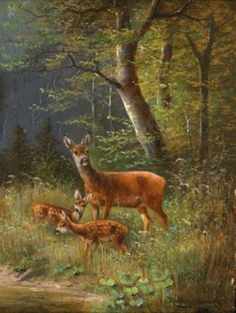 A Family of Red Deer in a Forest Glade