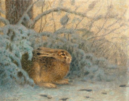 A Hare in the Snowy Undergrowth