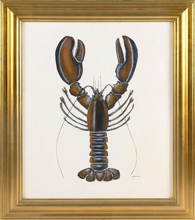 "Lobster - Cape Cod Bay"