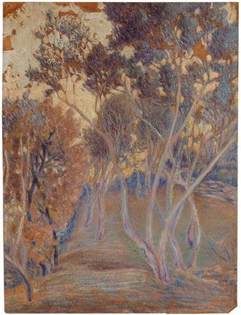 OLIVE TREES IN LIGURIA