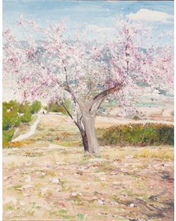 Almendro en flor