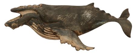 Humpback Whale