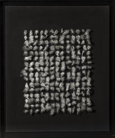 Witte Veertjes op Zwart (White Feathers on Black)