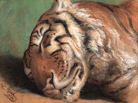 Sleeping tiger by Wilhelm Frey - Auction record, sale price, and art valuation. Compare with similar artists and explore comparable artworks.