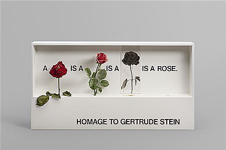 Homage to Gertrude Stein (a rose is a rose is a rose)