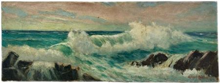 Seascape Scene Landscape Waves Crashing into Rocks