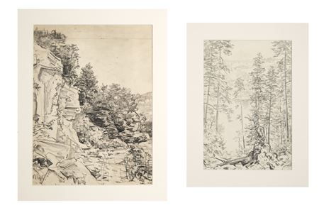 Pine Forest; Rocky Vista