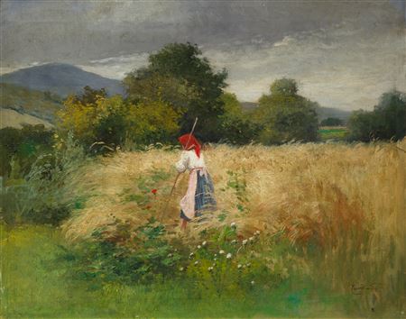 In the Field