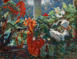 Begonias in the Window