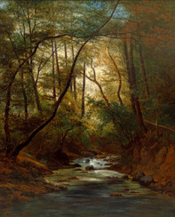Forest Stream