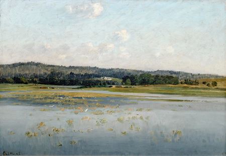 Lásenice Pond I